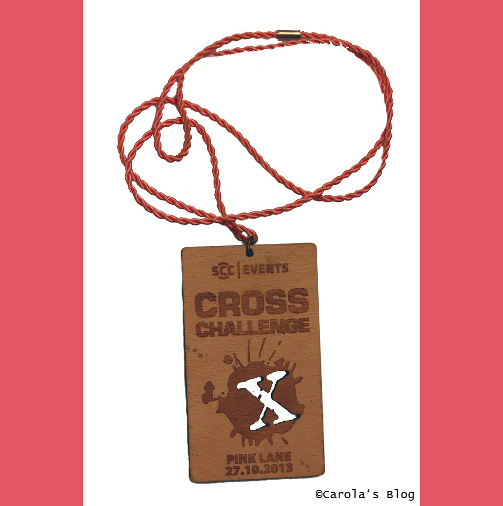 2. Cross Challenge, 2013